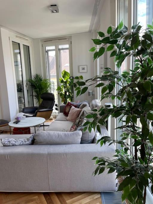 Appartement Penthouse *